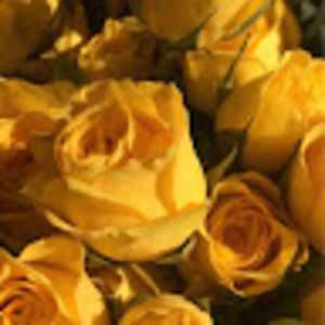 Meet your Posher, Chloe